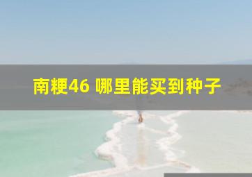 南粳46 哪里能买到种子